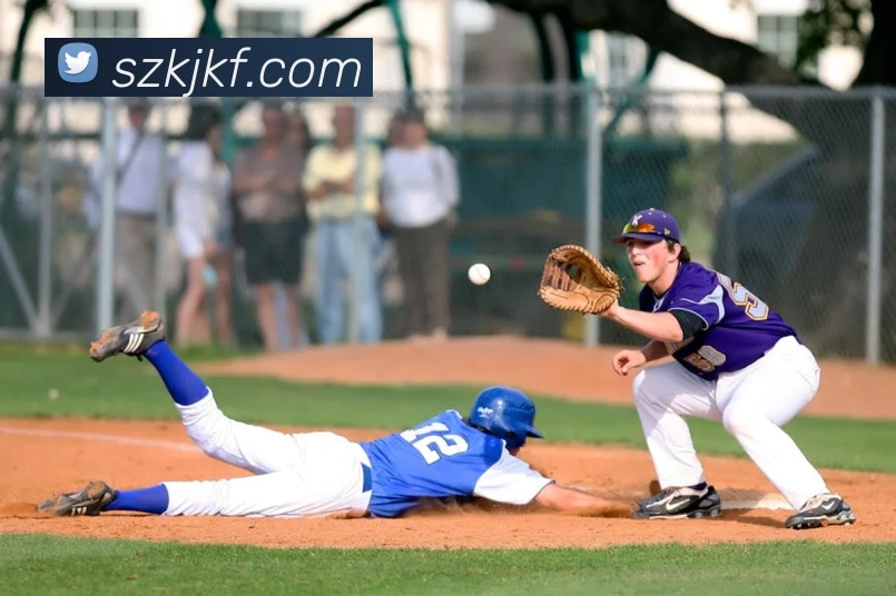 奖项证书
